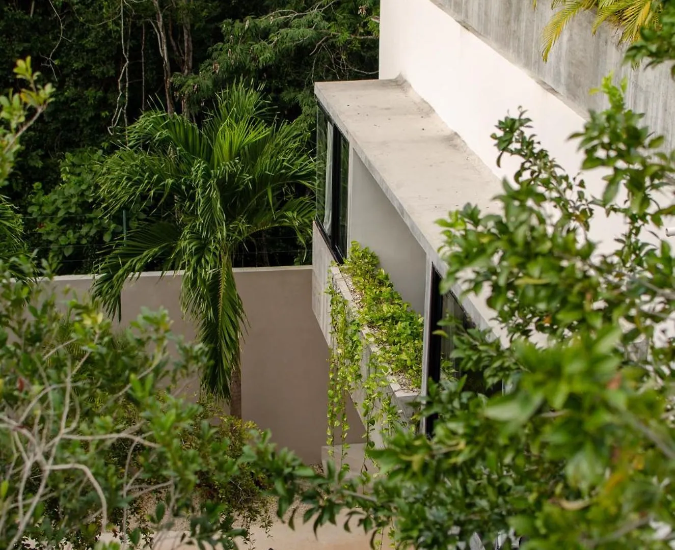 Nomad Humans Coliving Apartments Тулум