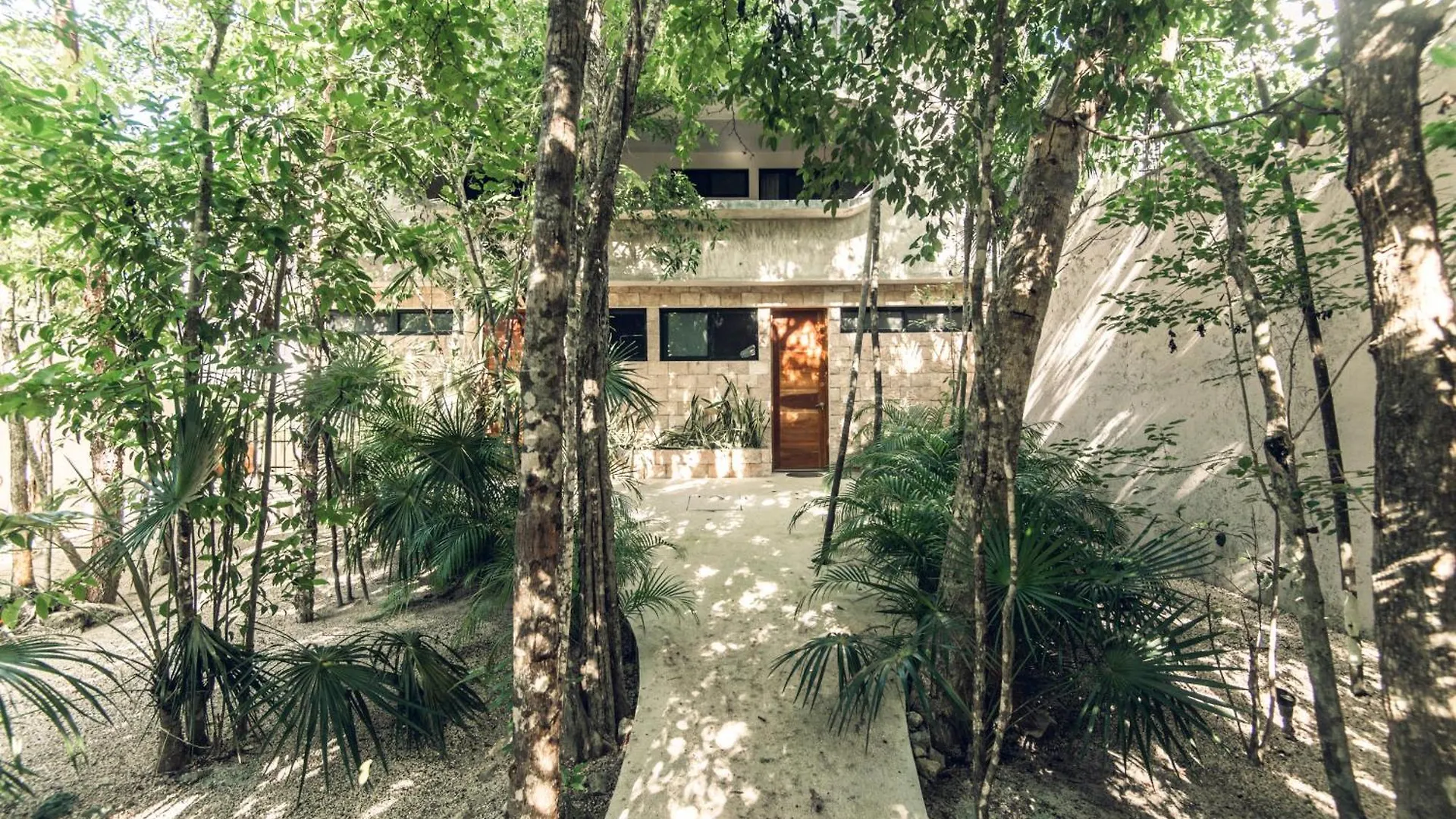 Nomad Humans Coliving Apartments Τουλούμ Μεξικό